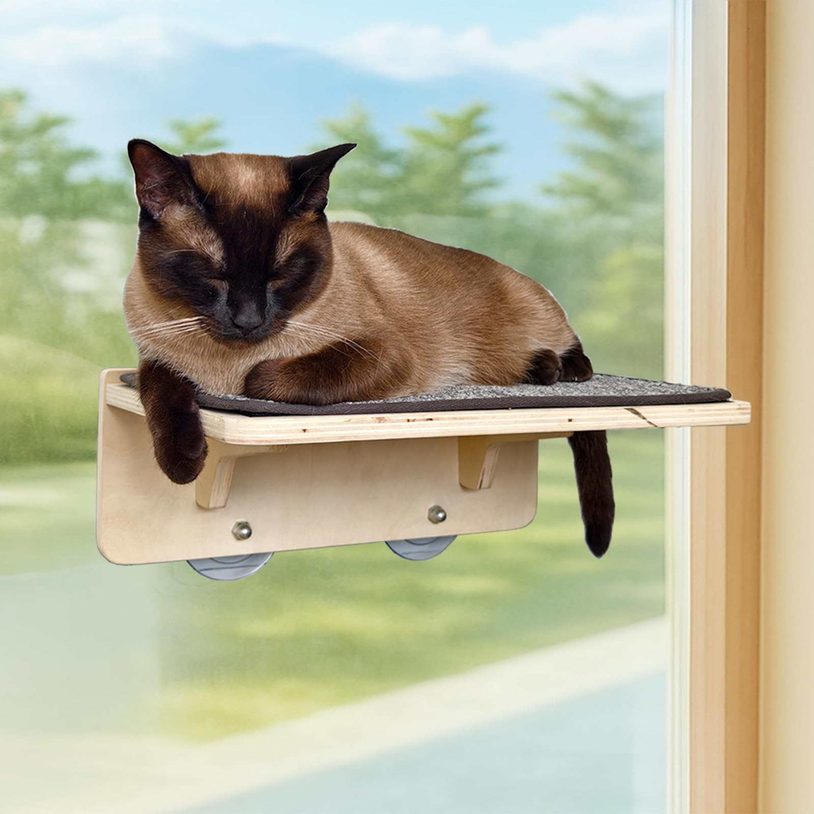 Lit pour chat robuste sans perçage avec ventouse et tapis griffoir - 3