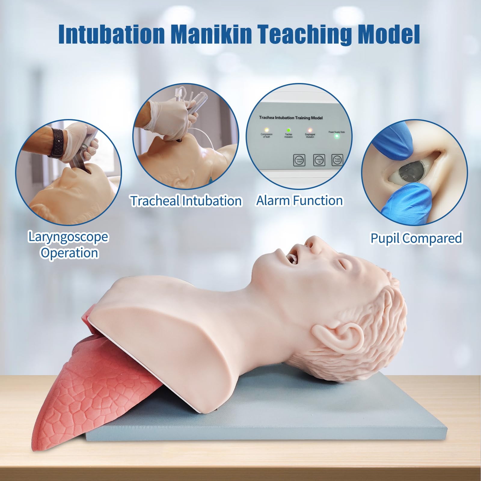 Manichino per Intubazione,modello educativo di gestione delle vie respiratorie per adulti, per la formazione in laboratorio scientifico (adulti)