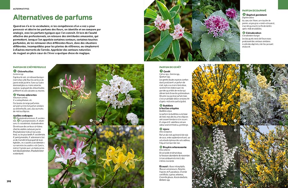 Toutes les plantes - Pour toutes les envies et toutes les situations