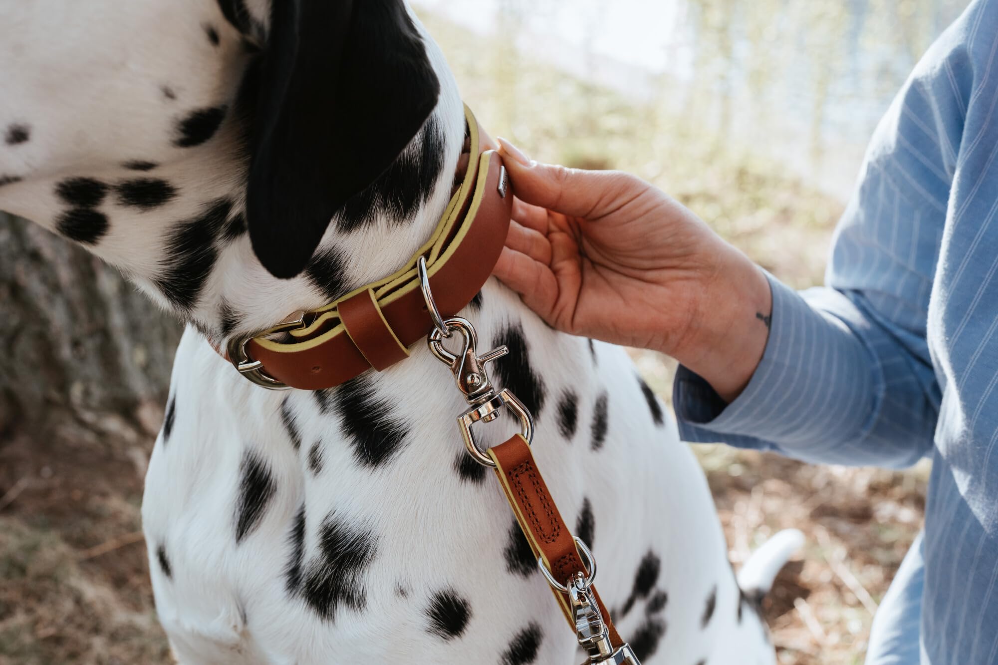 HUNTER Hundehalsband Garda aus Softvollrindleder, robust & komfortabel, mit handgefärbten Kontrastkanten, Made in Germany, Farbe: Cognac/gelb, Größe: 35