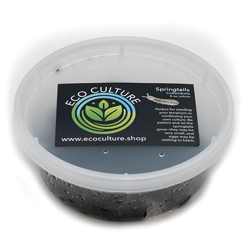 Eco Culture Live Springtails, 8 oz Charcoal Substrate, for Terrariums