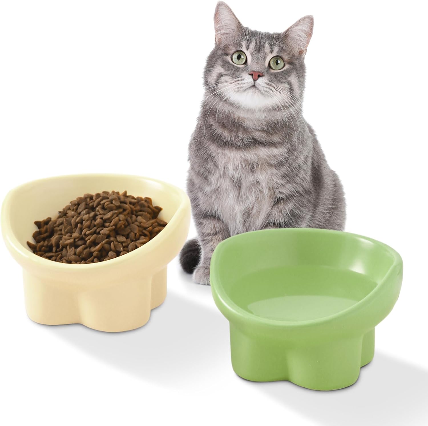 2pcs Ceramic Elevated Cat Bowls for Indoor Cats, Tilted
