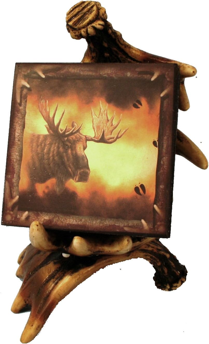 Moose Coaster Set