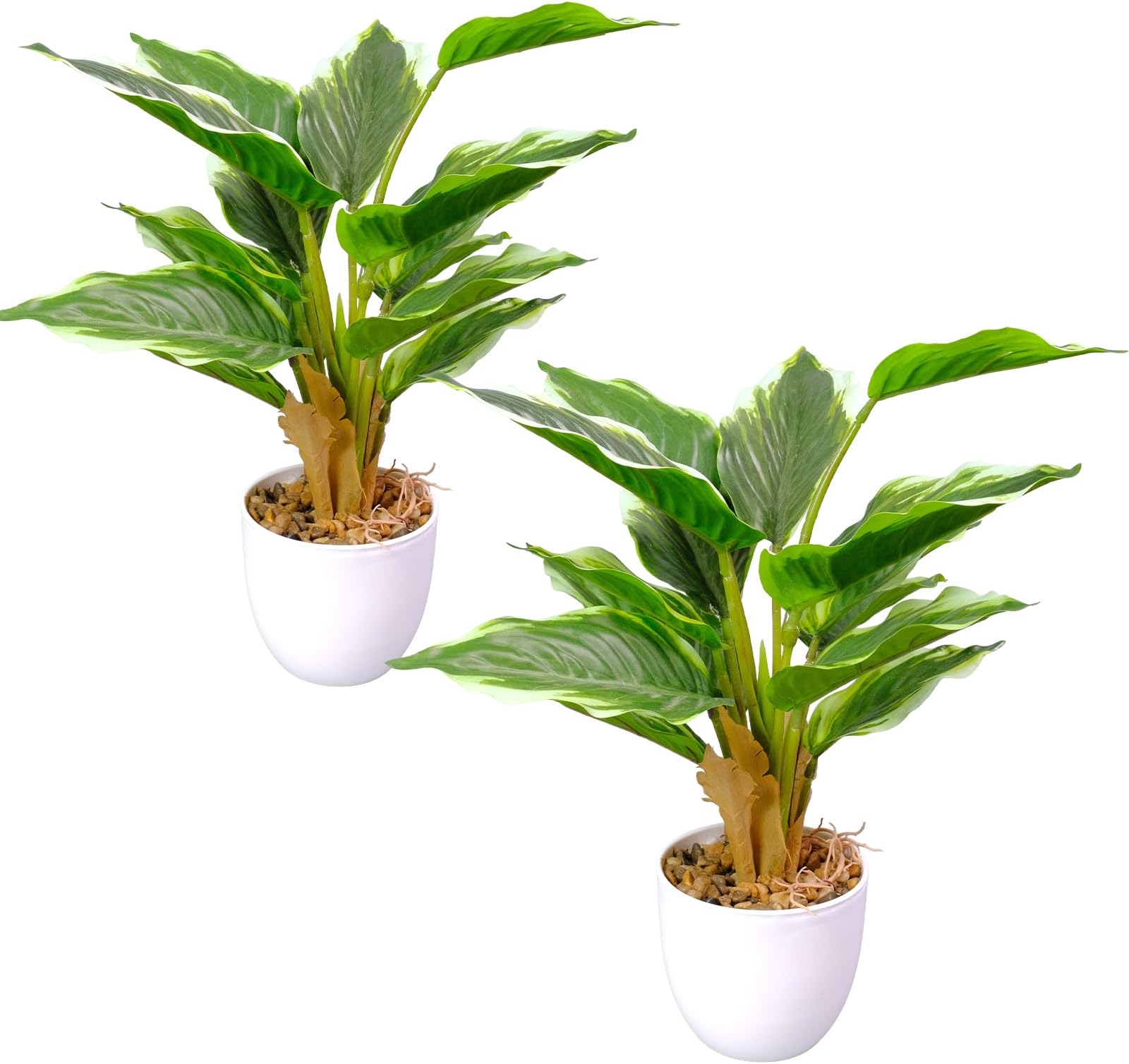 2 Pack Artificial Hosta Potted Plants, Medium Fake Tropical Plants in Pot, Faux Green Plants Indoor for Office Table Desk Home Décor