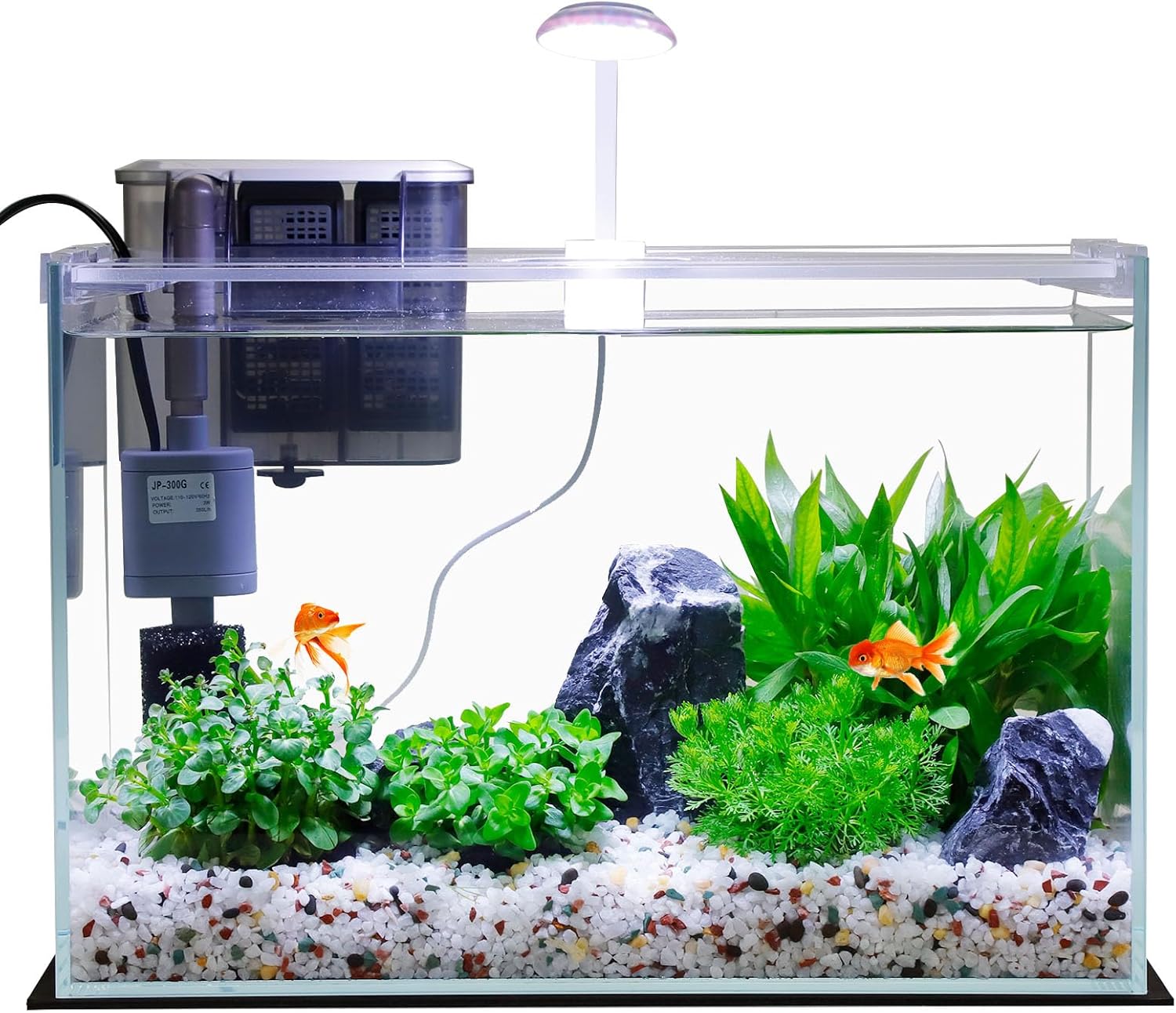 3 Gallon Glass Small Fish Tank, Betta Fish Tank Starter Kit with Filter, Lights,Lid, Aquarium Brush, and Water Changer.