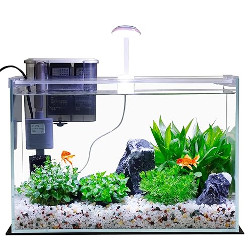 Vimvins 5 Gallon Glass Small Fish Tank with Filter Light