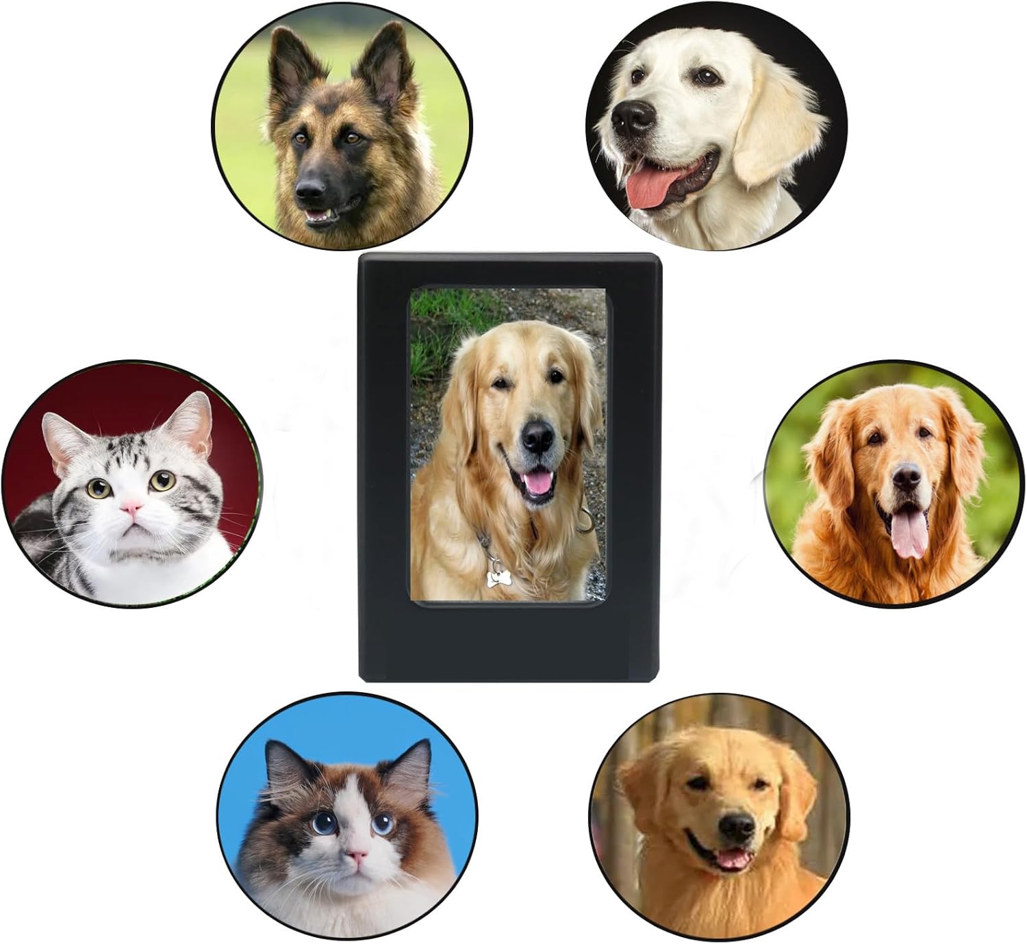 Pet Cremation Urns, Cat Dog Cremation Memory Box with Photo Frame, Dogs Ash Urns, Simplicity But Not Simple, The Perfect Memorial Remembrance and Resting Place, for Our Beloved Pets