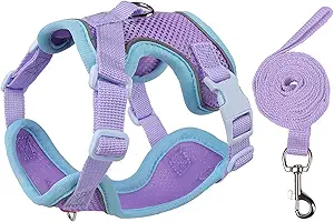 Cat Harness and Leash Set for Walking – Escape-Proof Reflective Vest for Cats and Small Dogs, Adjustable Soft Air Mesh with Pressure-Reducing Design, 4.92ft (Blue & Purple, S)