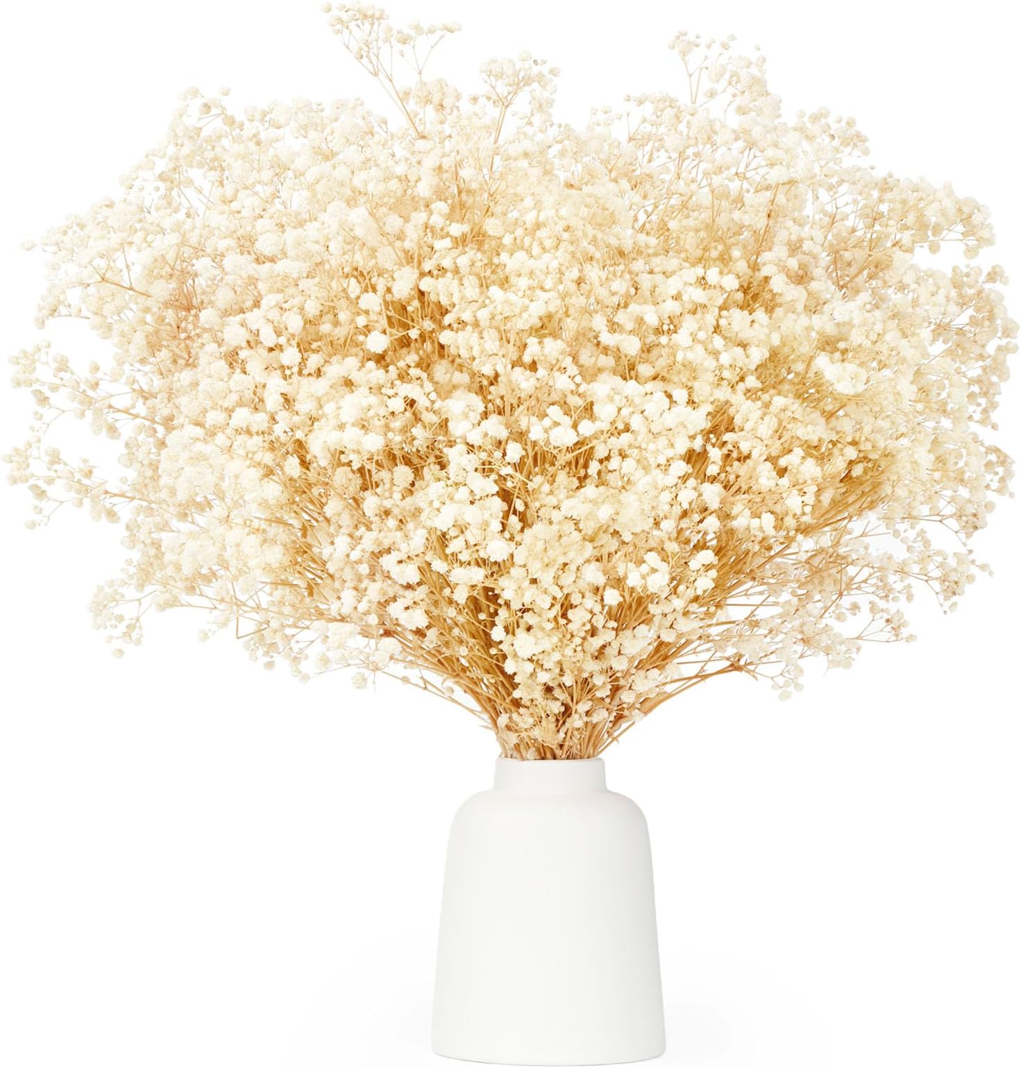 Dried Flowers Babys Breath Flowers Bouquet 17 inch 3500+ Ivory White Flowers, Natural Gypsophila Branches for DIY Wreath, Home, Wedding, Table, Vase Decor 7-285/40