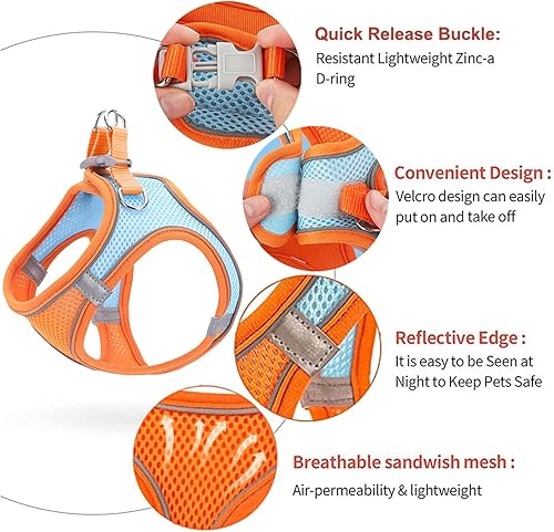 Miniatura 2 de Arnés para perro pequeño, arnés para cachorro y correa para caminar a prueba de escape, cómodo arnés de malla de aire para perro con tira