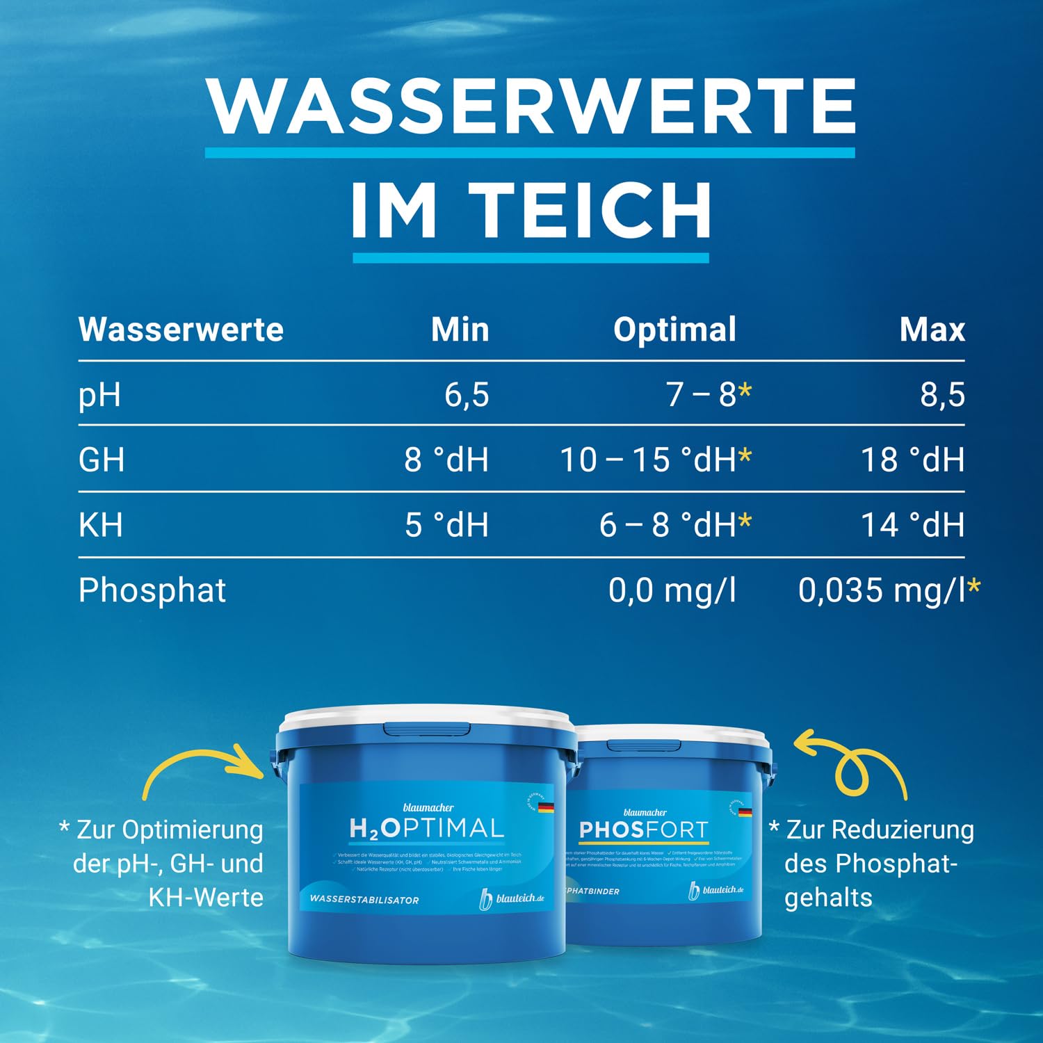 blaumacher Anti-ALG Fadenalgenvernichter für Gartenteiche – Startbehandlung für bis zu 20.000 Liter Teichwasser – 2 kg
