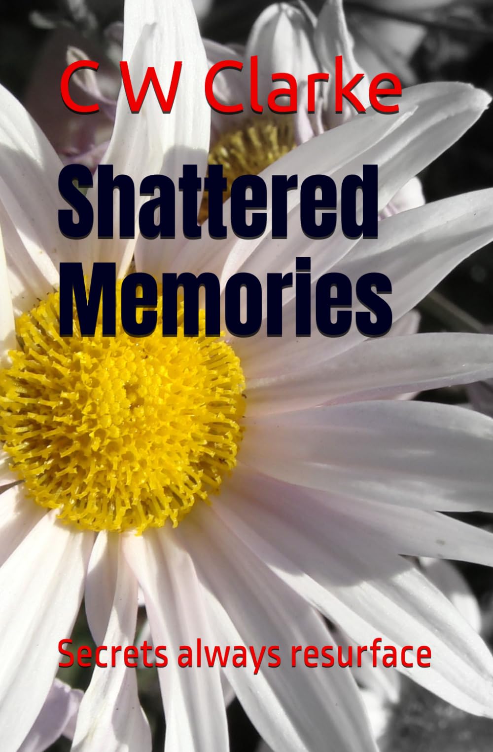 Shattered Memories: secrets always resurface