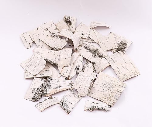 Miniatura 8 de Hojas de corteza de abedul natural para decoración de manualidades de diferentes tamaños de hojas de abedul (30 hojas de corteza de abedul)