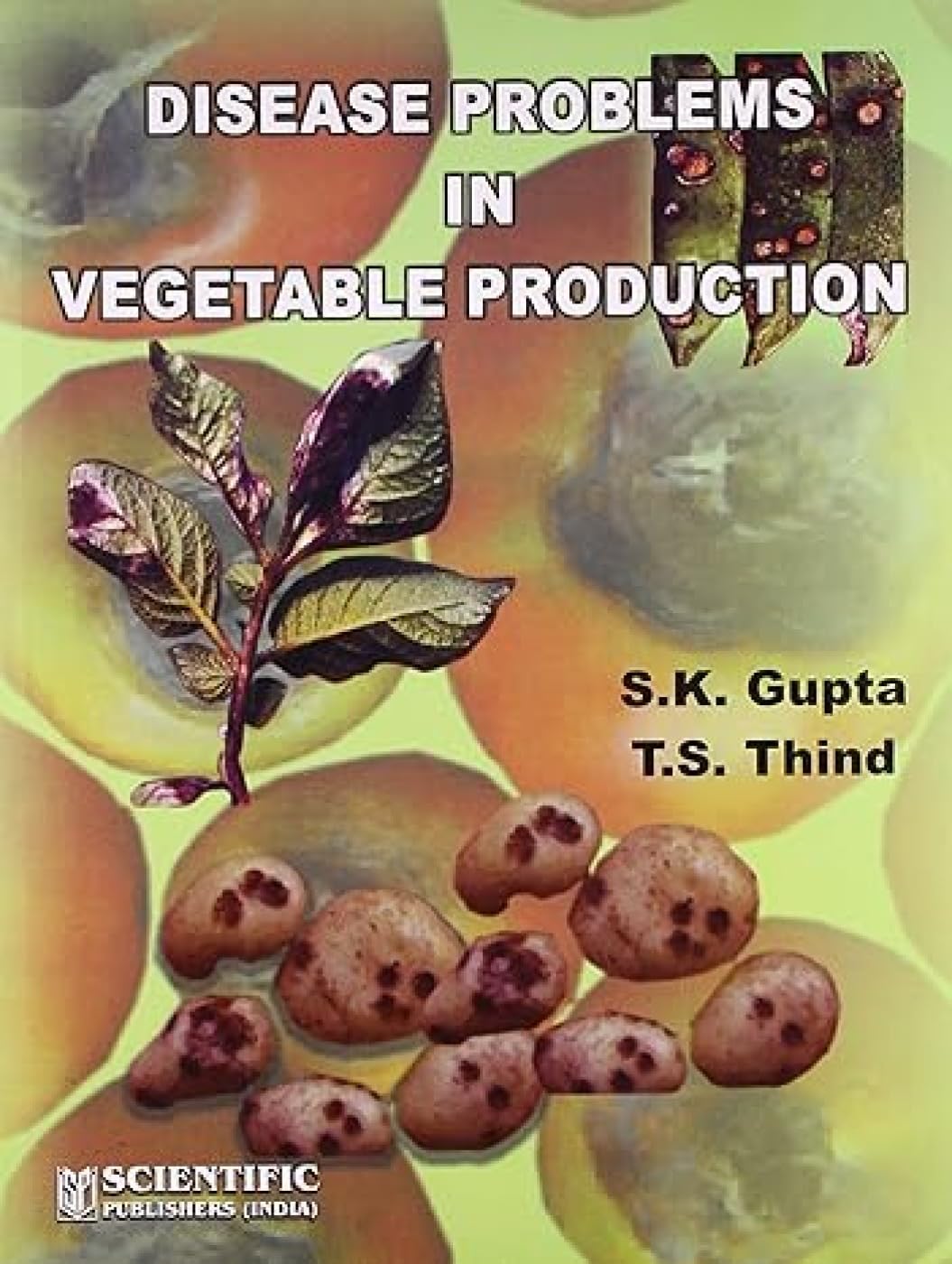 Buy Disease Problems in Vegetable Production — BookShops.in