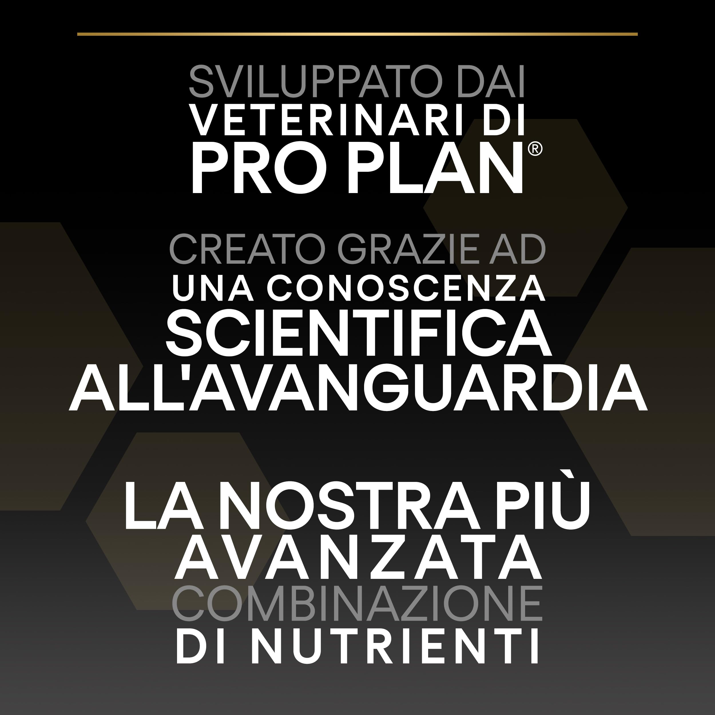 Purina Pro Plan Optiderma Medium Adult Crocchette per Cane con Salmone 14kg
