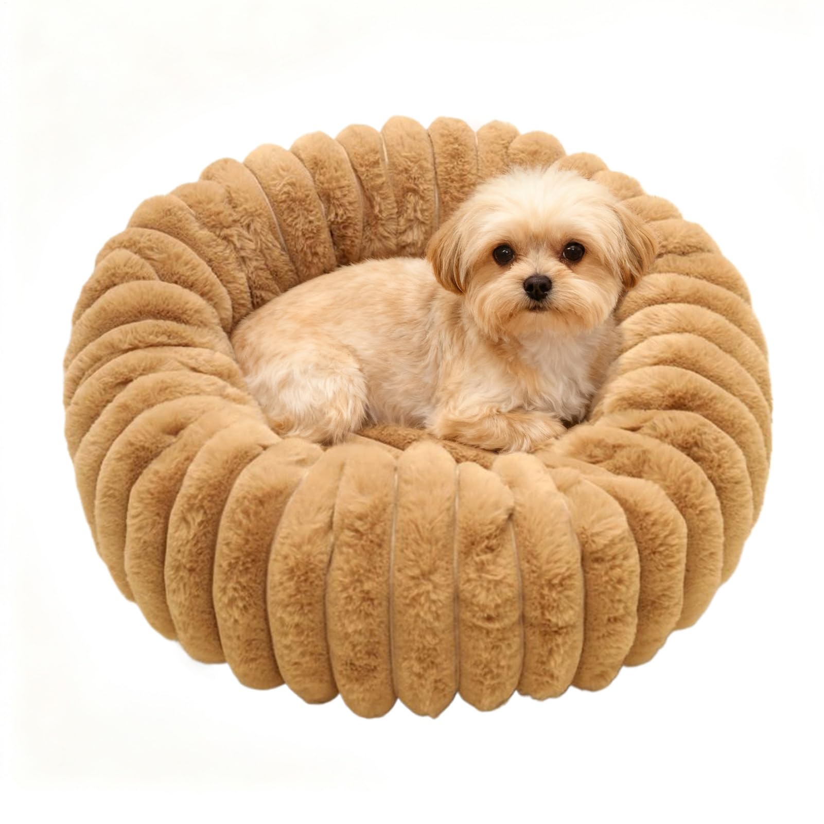 Lit pour chien de petite taille pelucheux et douillet pour appartement