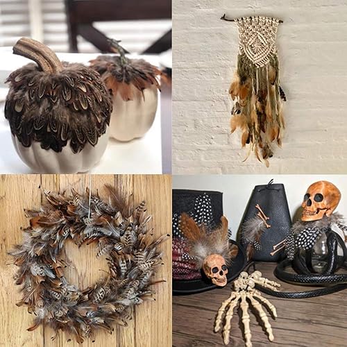 Miniatura 6 de 180 piezas de 9 plumas naturales de estilo surtidas de plumas mixtas para joyas y manualidades de atrapasueños