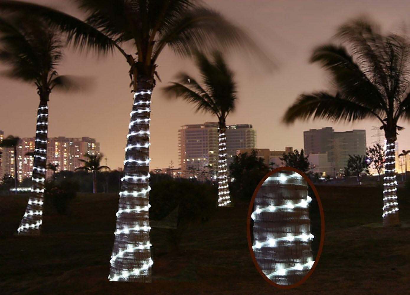 Solar Rope Lights 39ft/12M, 100LED Waterproof Outdoor Clear Tube String Lights with 8 Lighting Modes for Garden, Yard, Fence, Patio, Pathway, Stairs, Backyard Decor (Cold White)