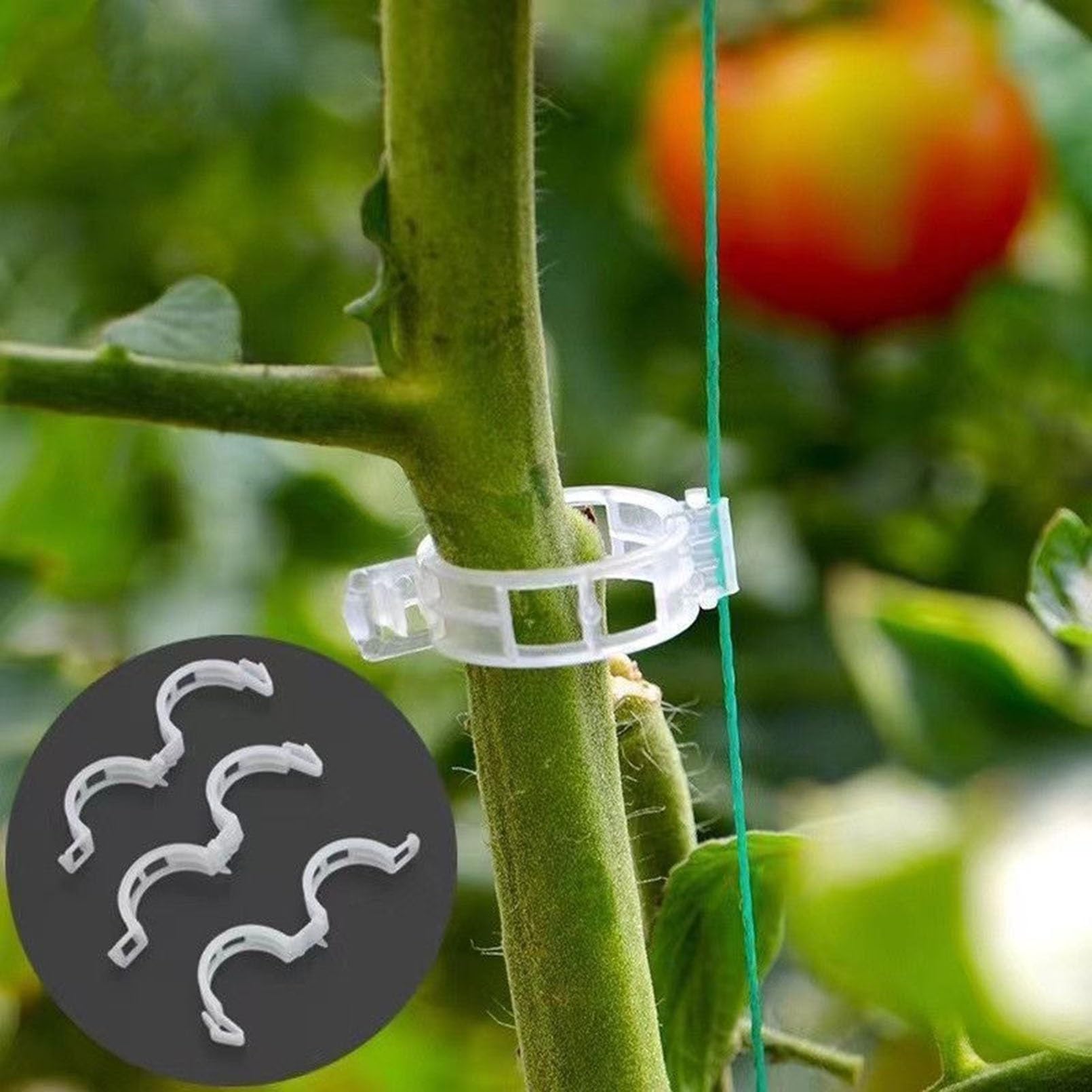 Confezione da clip di supporto per piante Clip per pomodori da giardino Supporto per piante collegamento corda di temperatura gabbia per piante vite | Leroy Merlin