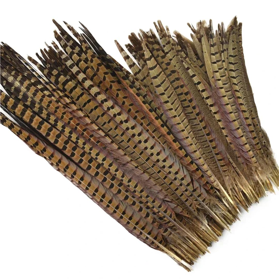 Lot de 50 plumes naturelles à longue queue de 10 à 75 cm pour travaux manuels, extensions de cheveux et décorations à faire soi-même