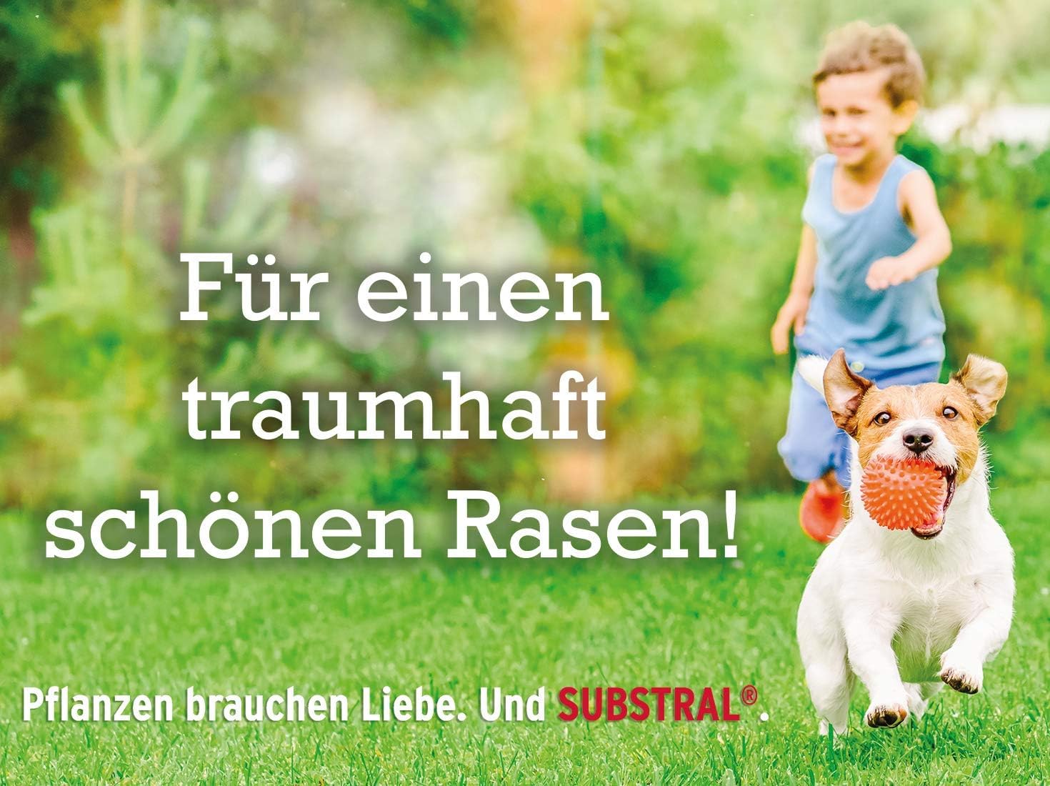 Substral Rasensamen Der Robuste Sport - und Spielrasen Einzigartige Strapazierrasen - Mischung 1kg für 50 m²