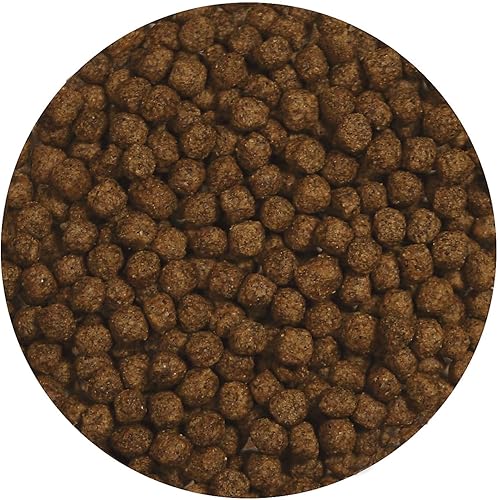 Vista 20 de Zoo Med Natural Aquatic tortuga Alimentos, Negros & Grises