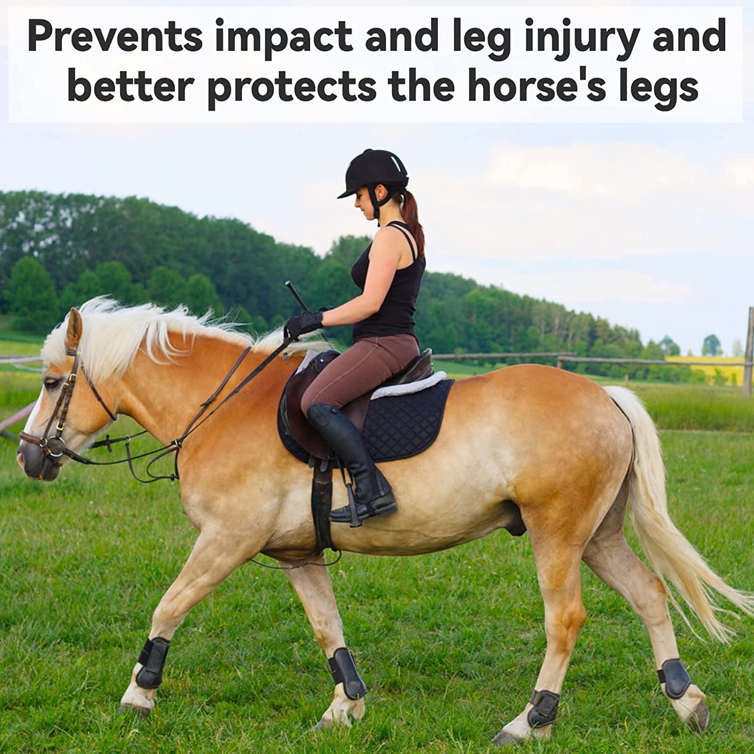TopHomer Horse Leg Boots, 4PCS Protector De Pierna De Caballo Ajustable, Protección Pierna Salto Caballo, Tendón Caballo Pierna Seguro PU Ecuestre Envolvente (Azul Marino, XL)