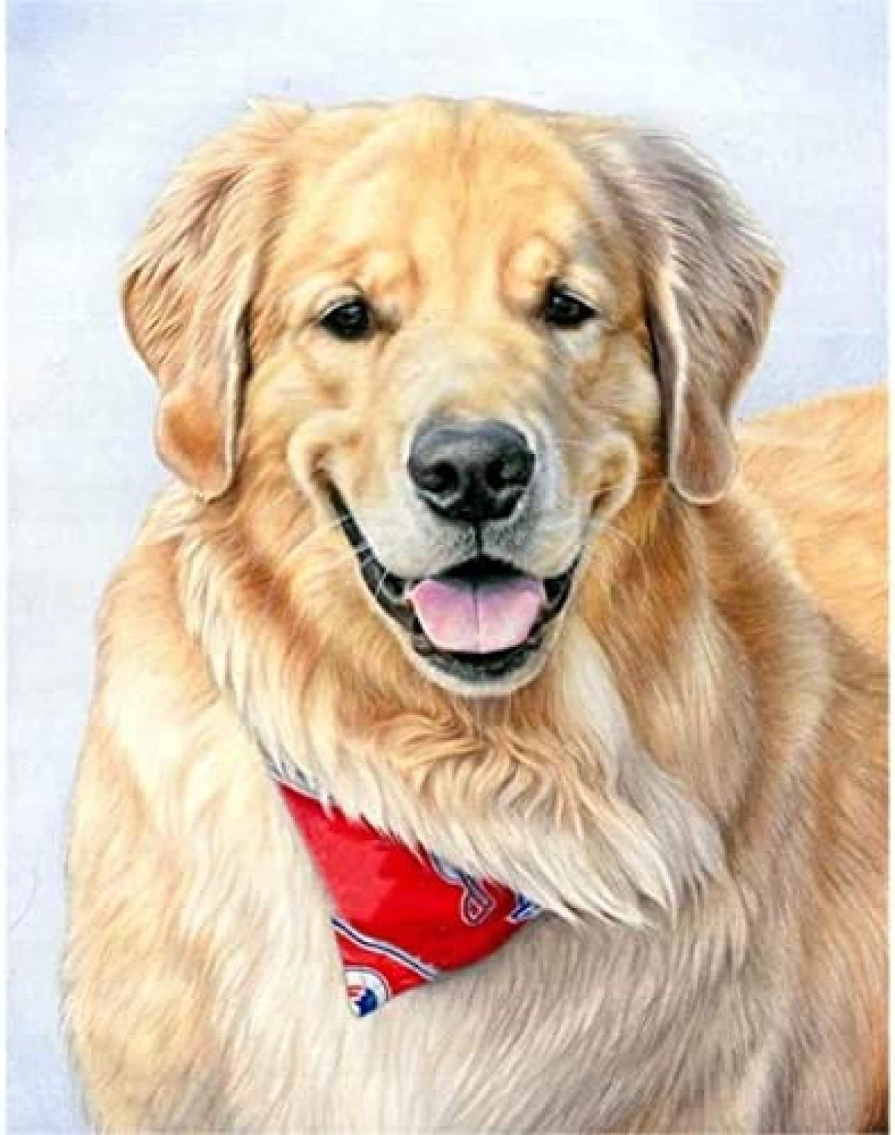 Nprzm H479 Diy 5D Full Diamond Painting Kits Yellow Labrador Dog Round Full Drill Embroidery Arts Crafts 30X40cm