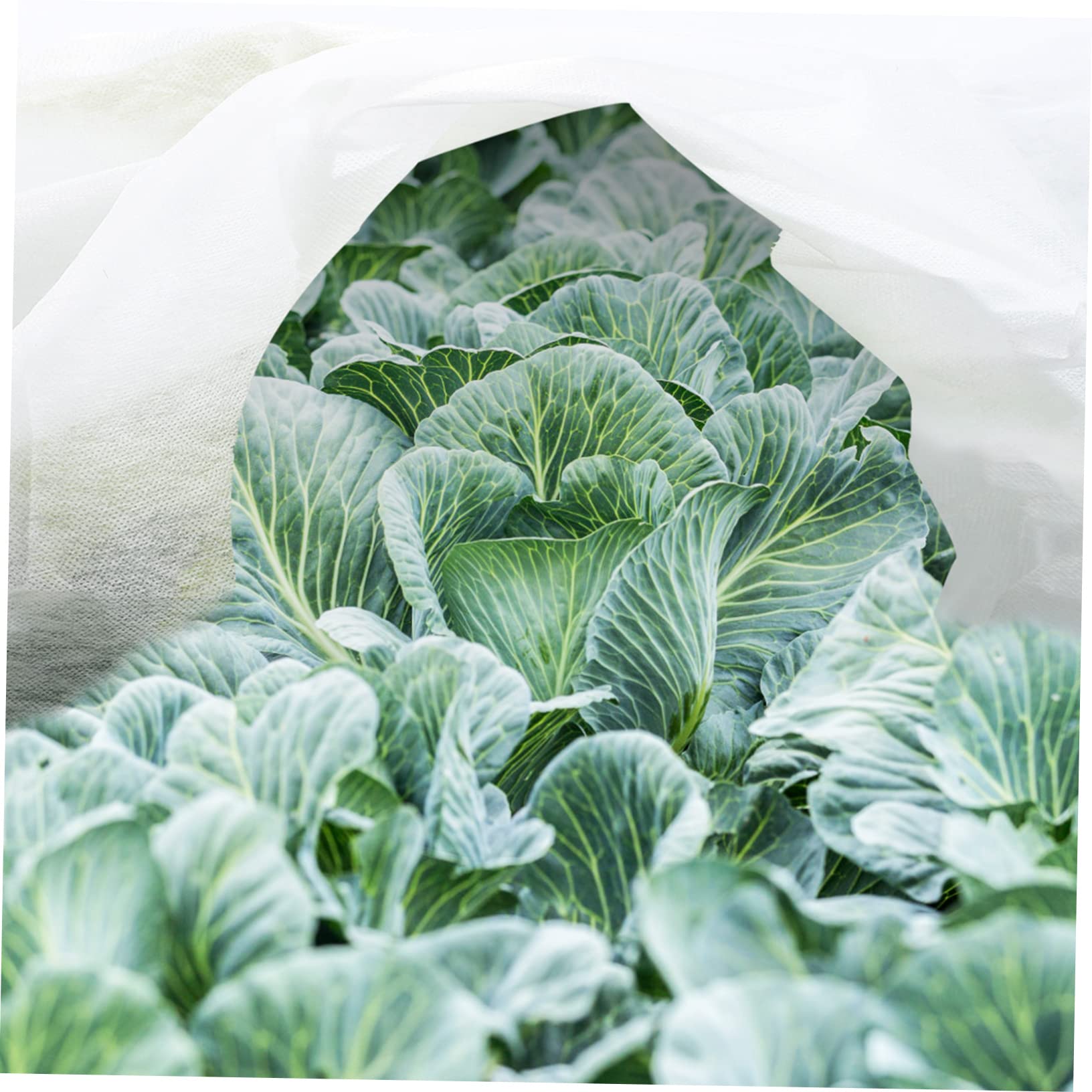 HEMOTON Voile D’hivernage en Non-tissé Blanc pour 2 Pièces Plantes