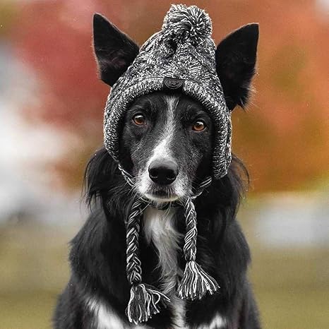 dog hat with ears
