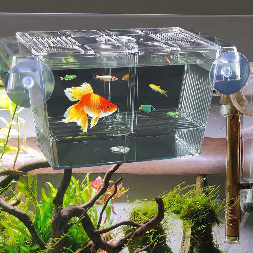 Scatola di Allevamento per Pesci o Acquario Box Isolamento in Acrilico per Pesci Scatola di Isolamento per Acquario per Pesce，con 5 Ventose, per Proteggere gli Avannotti, 23x9.8x9.5cm