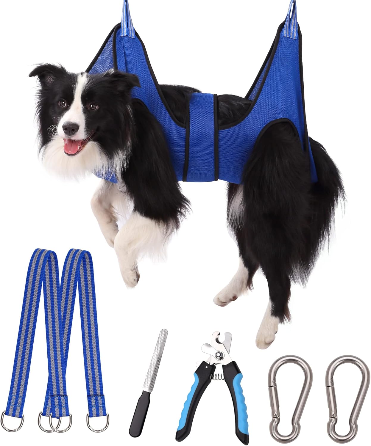 Step-by-step Guide to Trimming Dog Nails in Under 10 Minutes - Black Dog Nail Trimming For Groomers