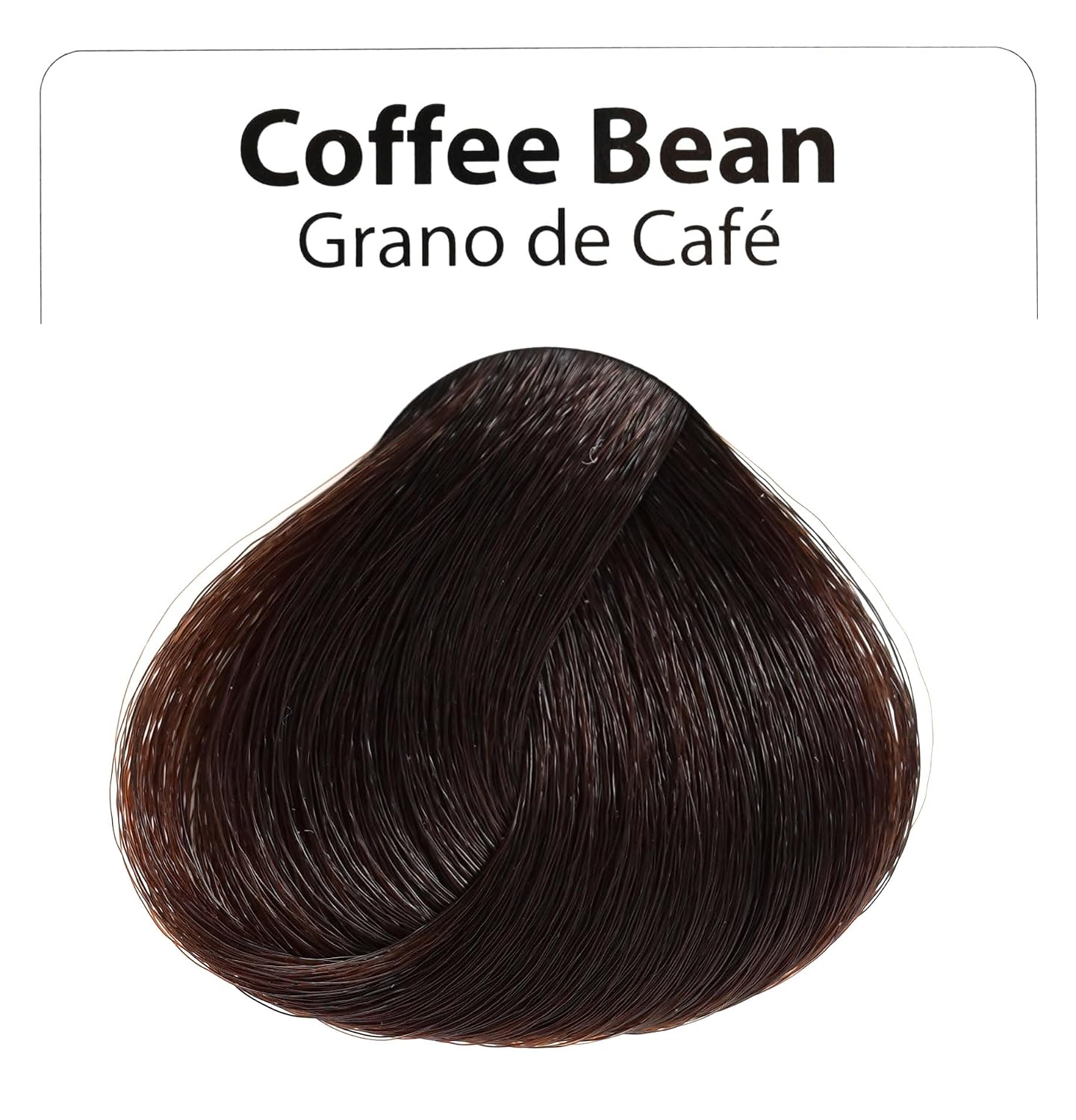 L Lorenzo Color Definer Cellophane 8.11fl.oz/240ml | Peroxide & Ammonia Free | Glossy hair Brilliant color without Damaged Hair | Stain Remover Inside (Coffee Bean, 240ml / 8.11Fl.Oz)