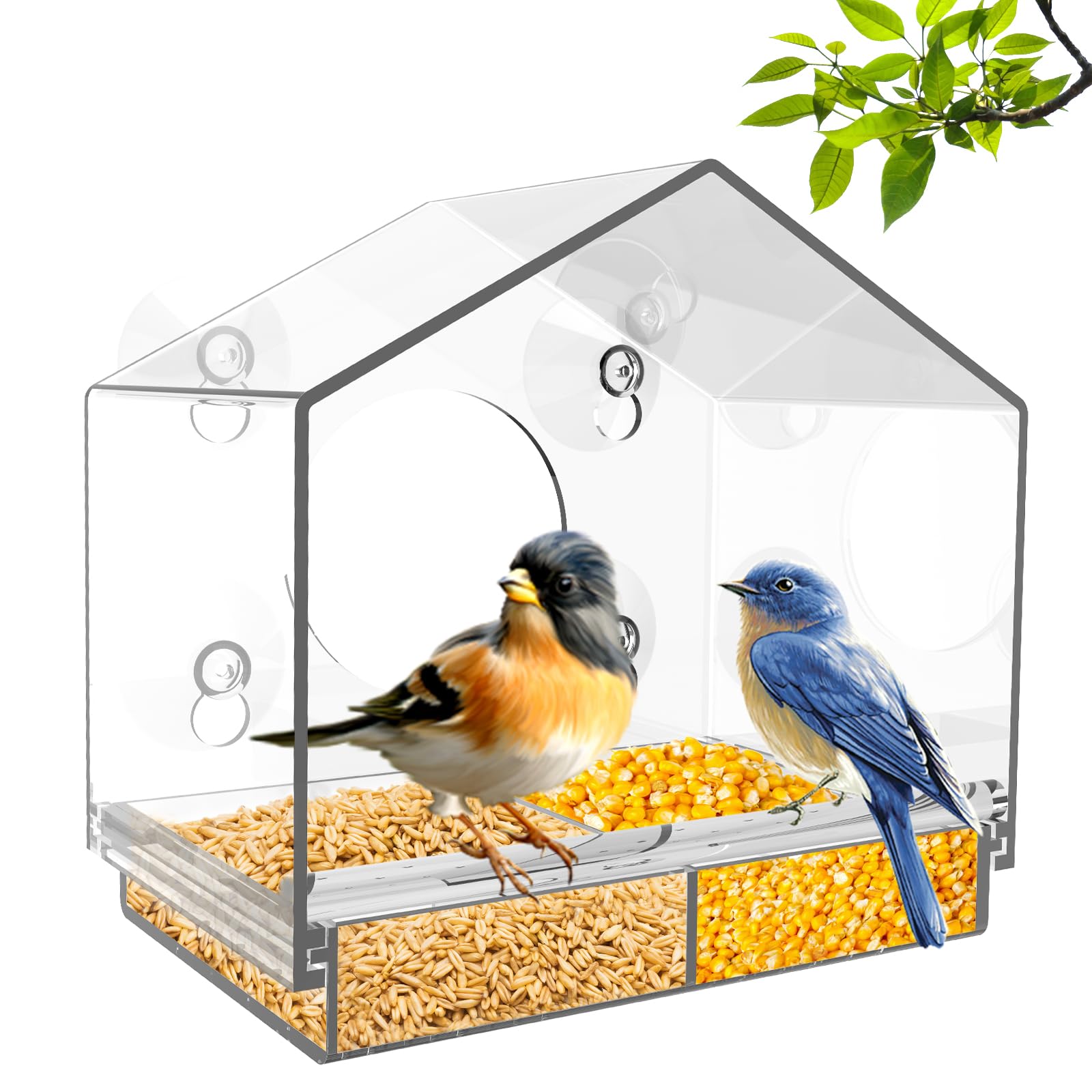 Window Bird Feeders with Strong Suction Cups, Acrylic Clear Birds Feeders with Detachable Seed Tray, Transparent Bird House for Kids, Adults and Cats Perfect for Garden, Yard