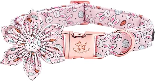 Elegant little tail Collar de perro de Pascua, collar de perro con flor, zanahorias de conejo, lindo collar de perro rosa para mascotas, collar Elegant little tail Collar de perro de Pascua, collar de perro con flor, zanahorias de conejo, lindo collar de perro rosa para mascotas, collar