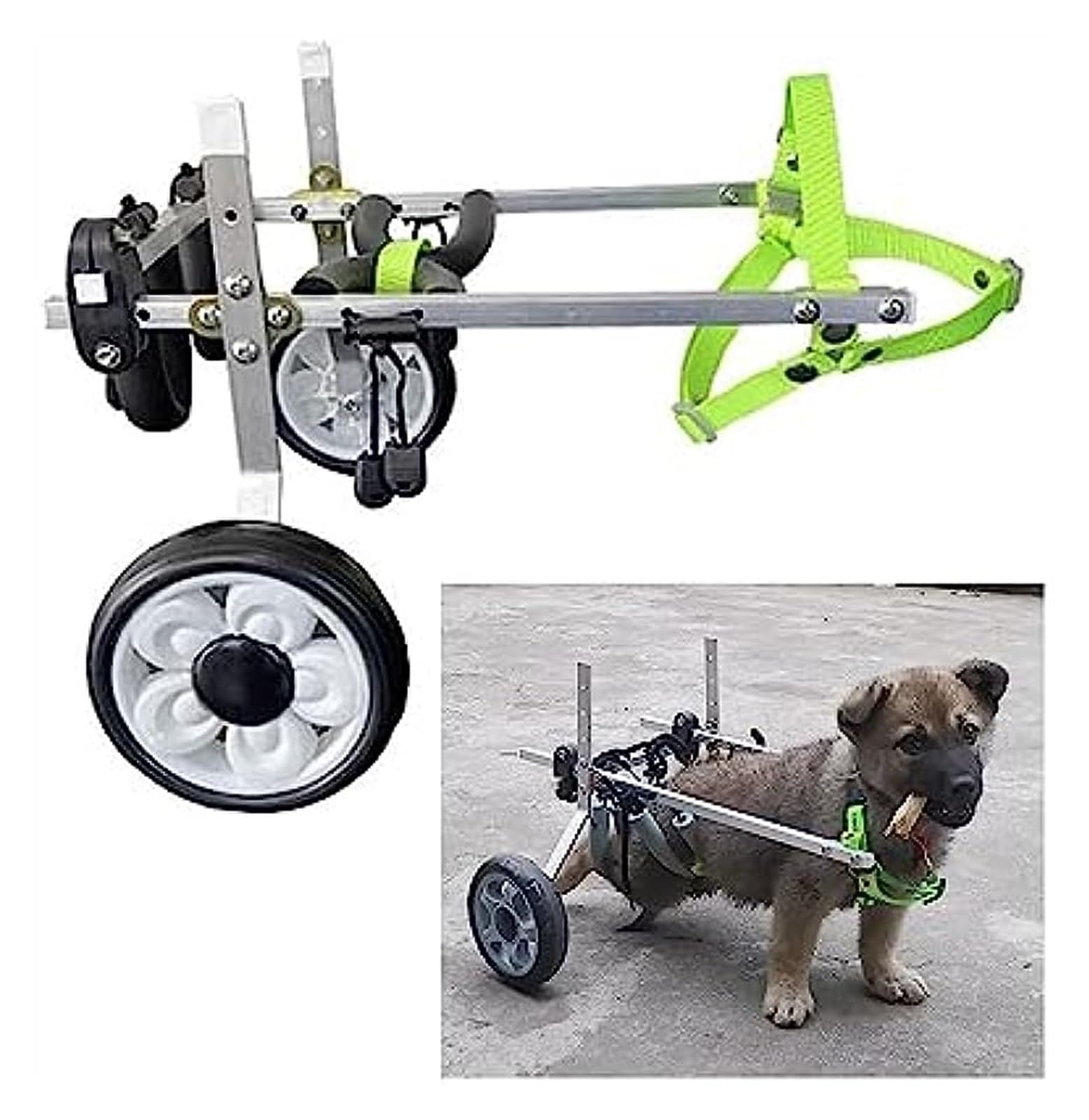 Amazon.com: Animal Exercise Wheels,Pet Wheelchair,Adjustable Dog