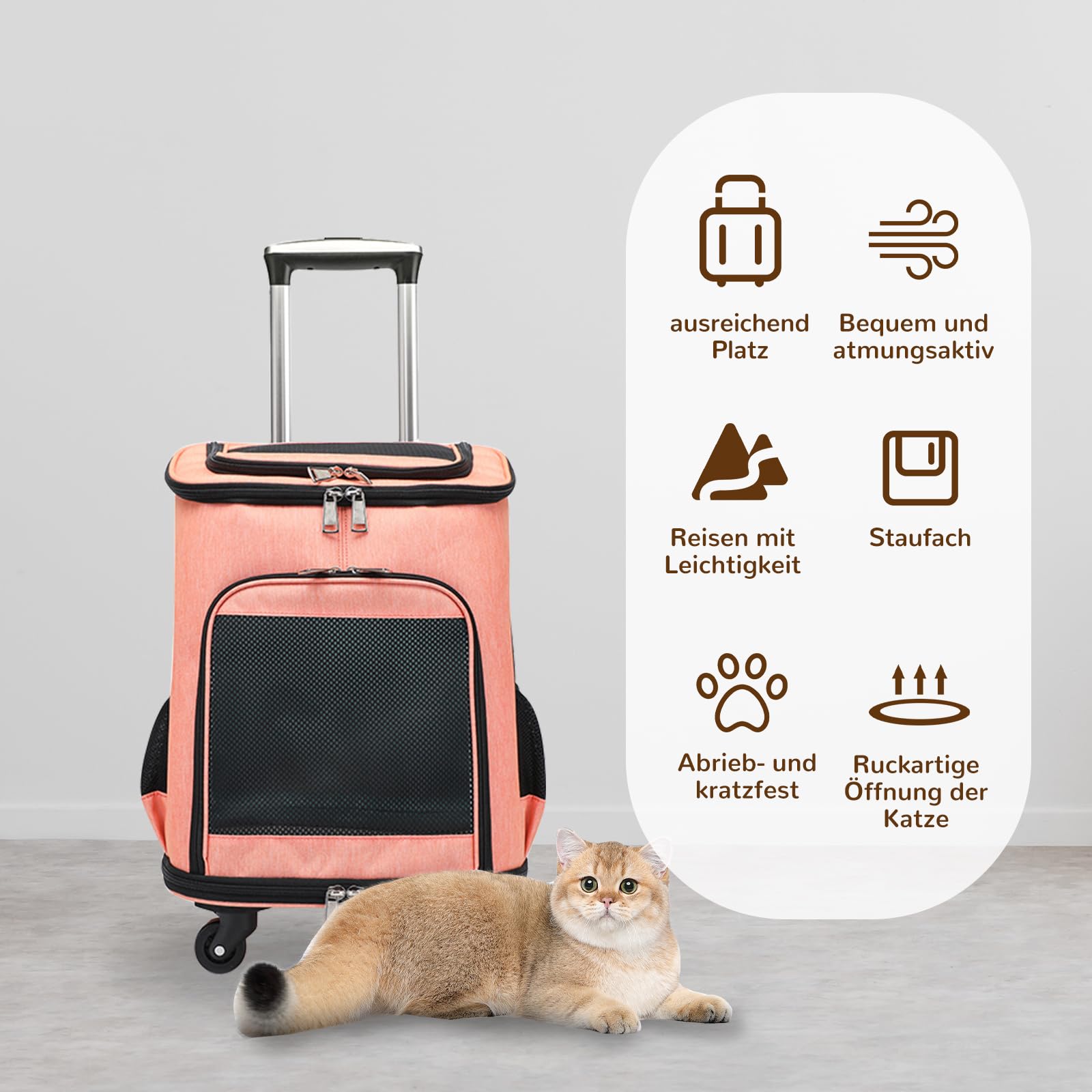 Dog Backpack with Trolley Cat Backpack Trolley Dog Cat Up to 10 kg Lightweight Dog Carriage Transport Box for Puppies Pets (Orange