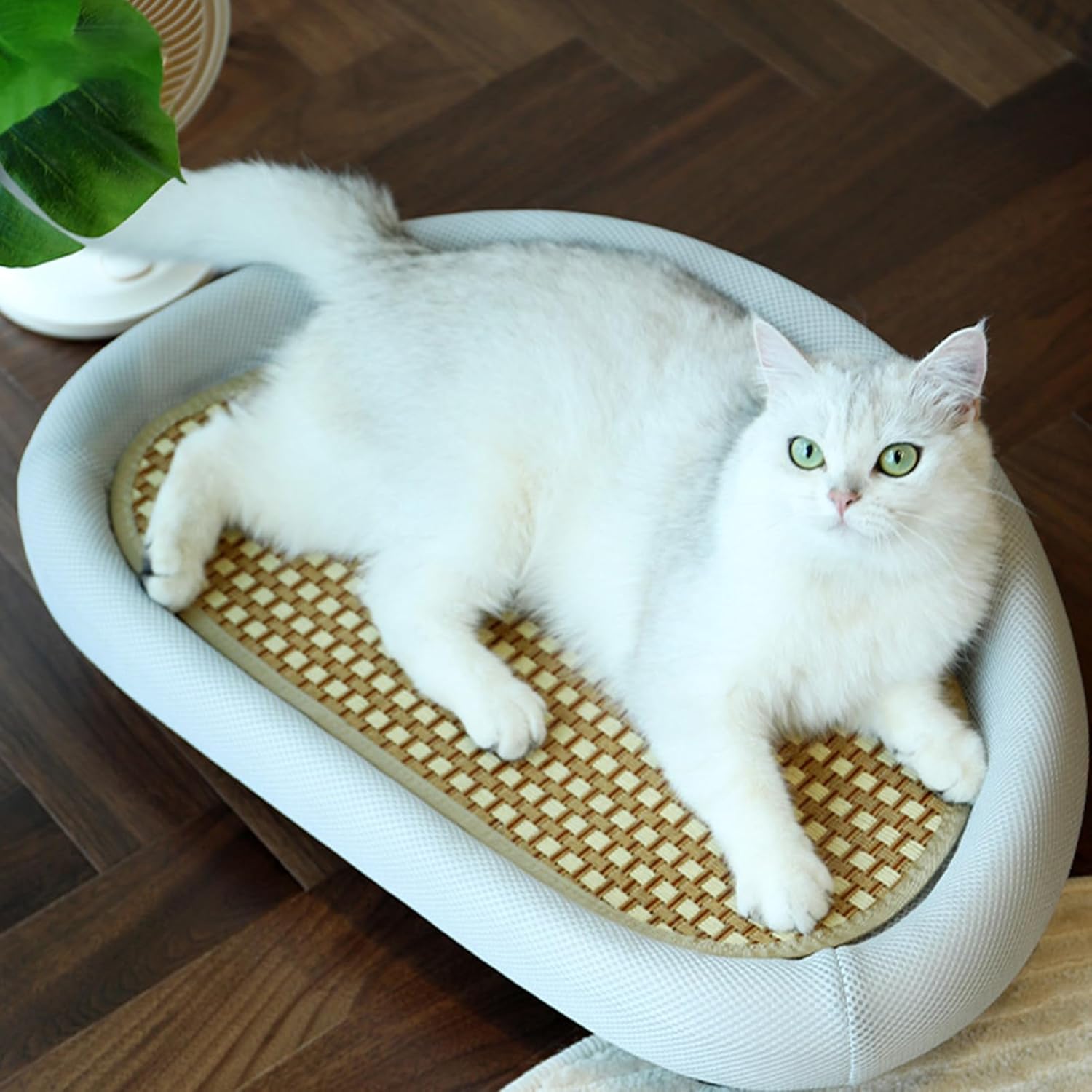 Cat Scratching Pad, Cat Scratch Boards for Indoor Cats, 2 in 1 Cat Scratching Board & Lounge Bed, Cat Scratcher for Indoor Furniture Protectors, Pet Supplies