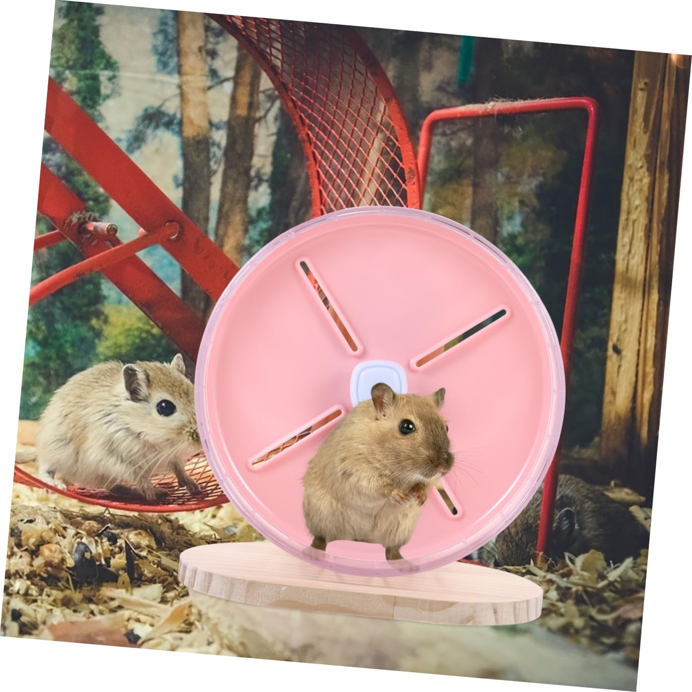 Hamster Laufrad 30cm aus Abs und Holz Geräuschloses Hamsterrad mit Dekorativem Design Leicht zu Verstauen und Langeweile für Hamster und Igel