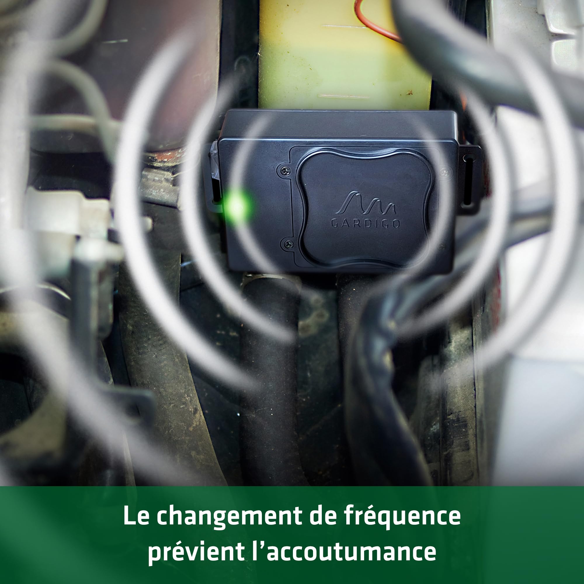 GARDIGO® Répulsif Anti Martres à Ultrasons avec Fréquences Variables | Repeller Anti-Fouines et Rongeurs | pour Voiture, Garage, Grenier | Remplacement Facile des Piles.
