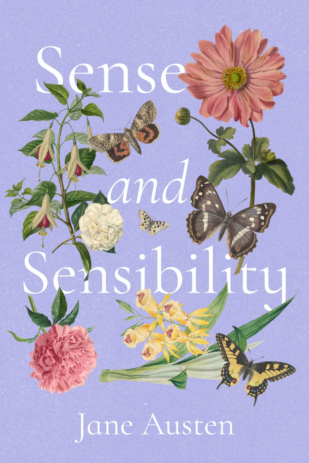 Sense and Sensibility: A Collector's Edition Featuring Original Illustrations and Jane Austen's Biography