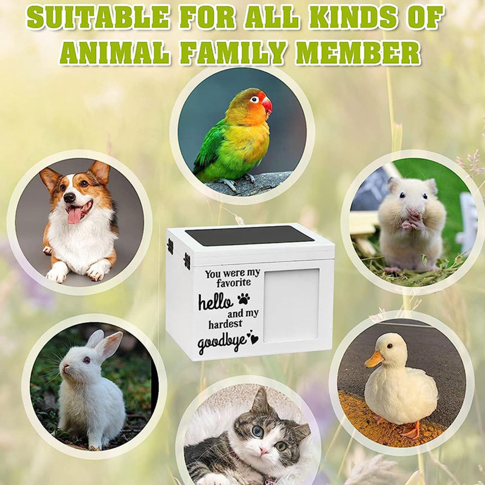 Urna per animali domestici, in legno per animali domestici, urna commemorativa per animali domestici, scatola per foto, urna per animali domestici, decorazione per animali domestici, urna per animali