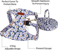 Vista 65 de CHEDE No Pull Floral Pattern Dog Harness - Lightweight and Soft, Adjustable Small Dog Harness Set with Leash, Suitable for Puppy to Medium-Sized Dog