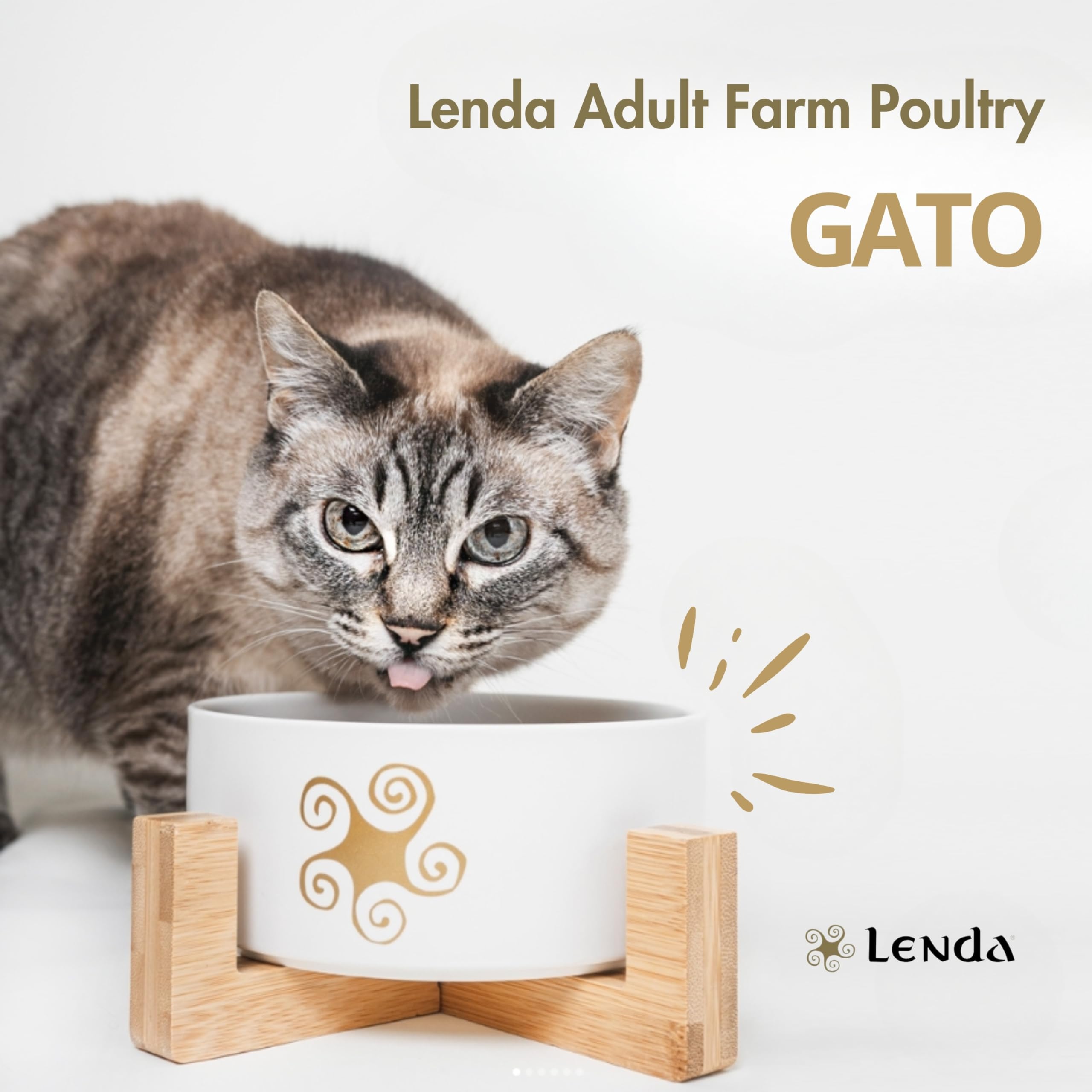 Lenda Kot Adult Drób Grain Free 7 kg – Bezzbożowa karma sucha dla dorosłych kotów wszystkich ras – Omega-3 i Omega-6 – 1 szt.