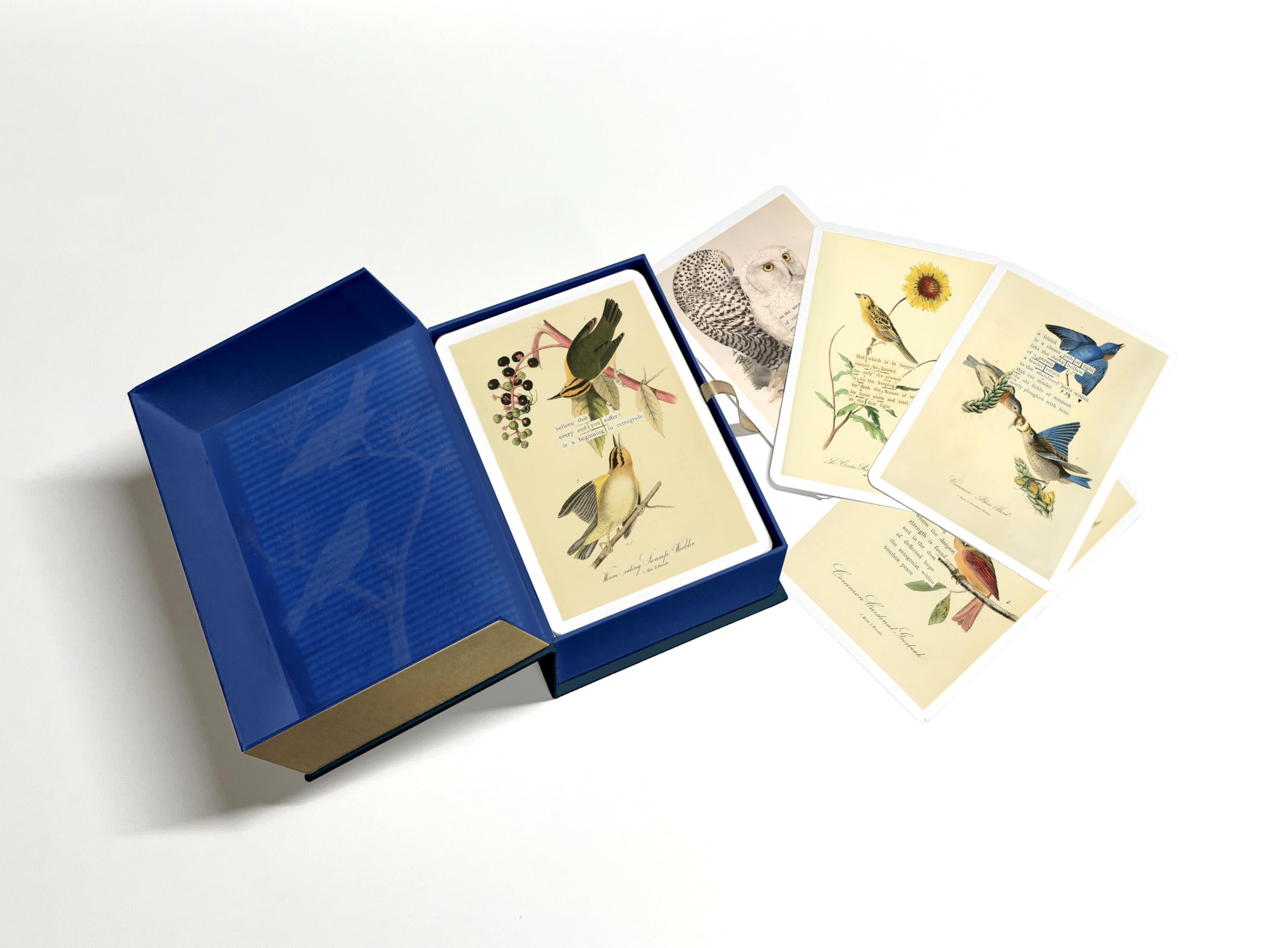 An Almanac of Birds: 100 Divinations for Uncertain Days (Marginalian Editions)
