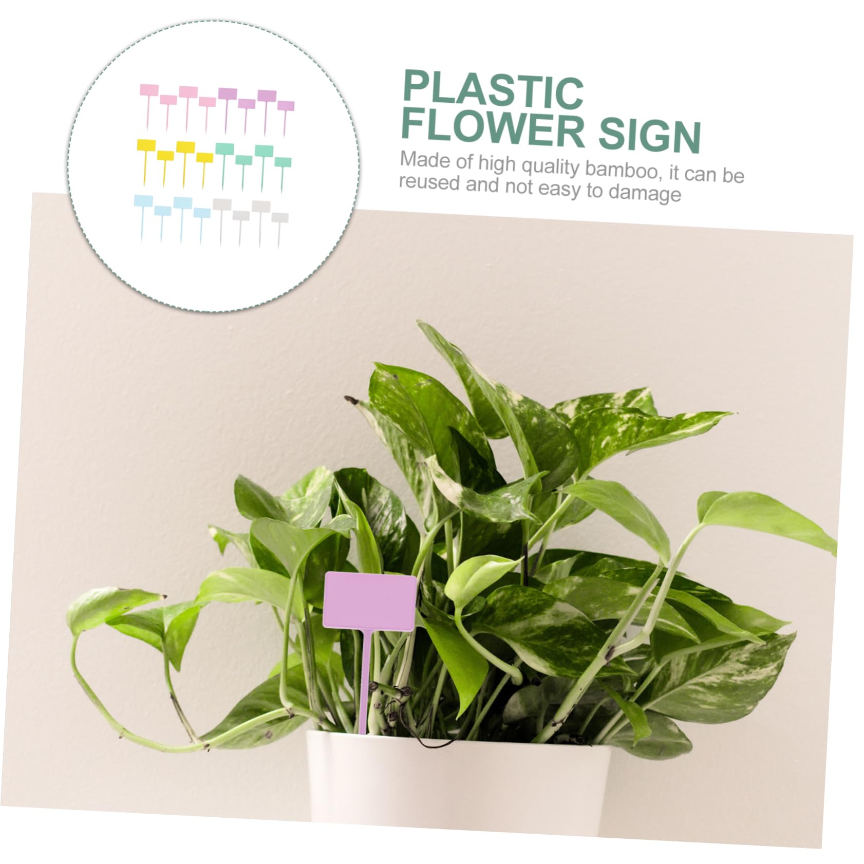 Toyvian 5 Sätze Sukkulente Grünpflanzen Topfpflanzen Schilder Gartenpflanzen Etiketten Grünpflanzen Etiketten Gartenreihenmarkierungen Gartenetiketten Gartenetiketten Stück * 5