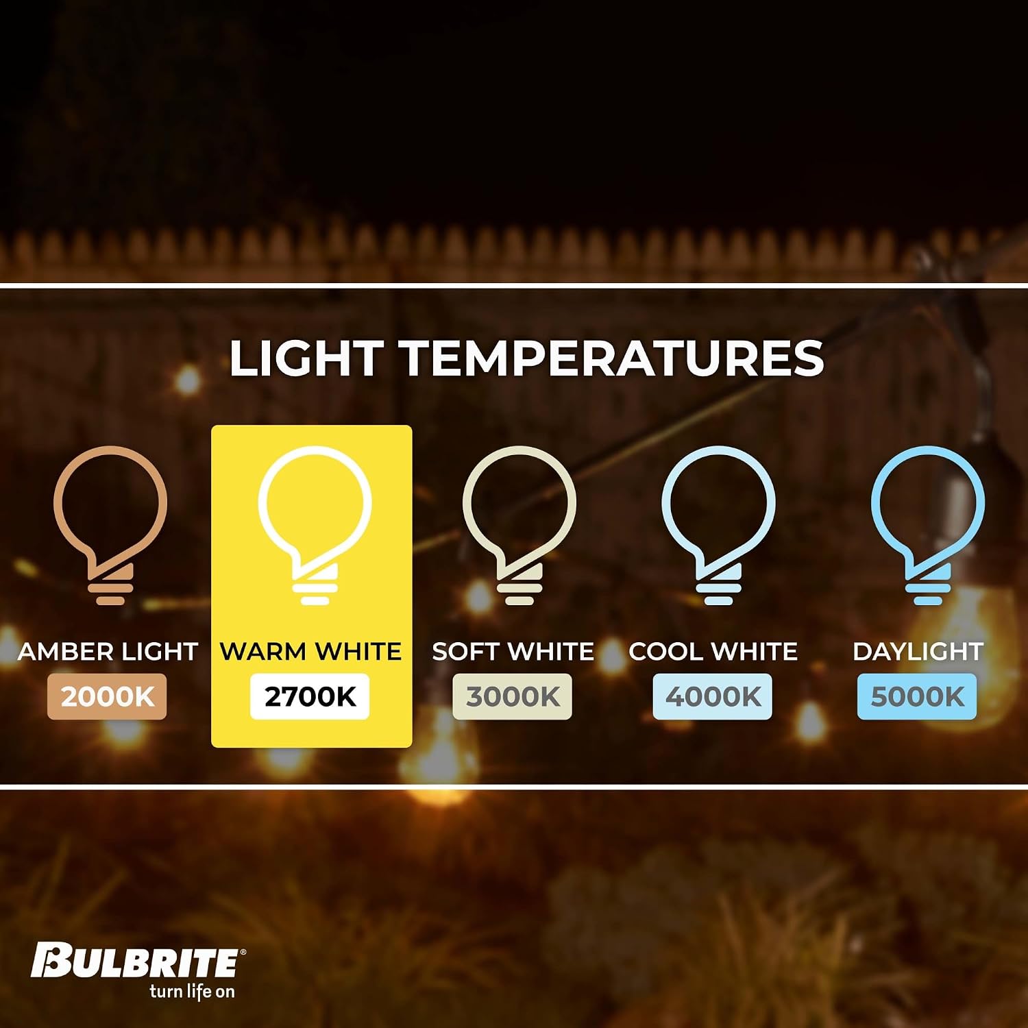 Bulbrite 30-Foot String Light Kit with Clear Vintage Style S14 Incandescent Light Bulbs