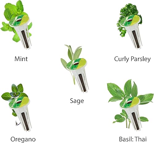 Miniatura 4 de AeroGarden Kit personalizado de cápsulas de semillas de hierbas, elige tus propias semillas de hierbas para crear tu propio jardín de hierbas de