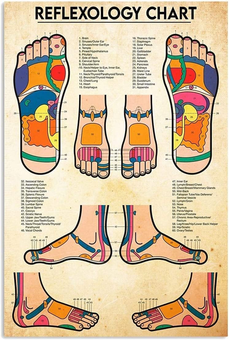 Oudrspo Reflexology Chart Metal Signs Vintage Wall Decor Aluminium Sign Office Decor Reflexology Knowledge Tin Poster Home Club Hospital Plaque 12x16 Inches