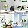Product Photo 6